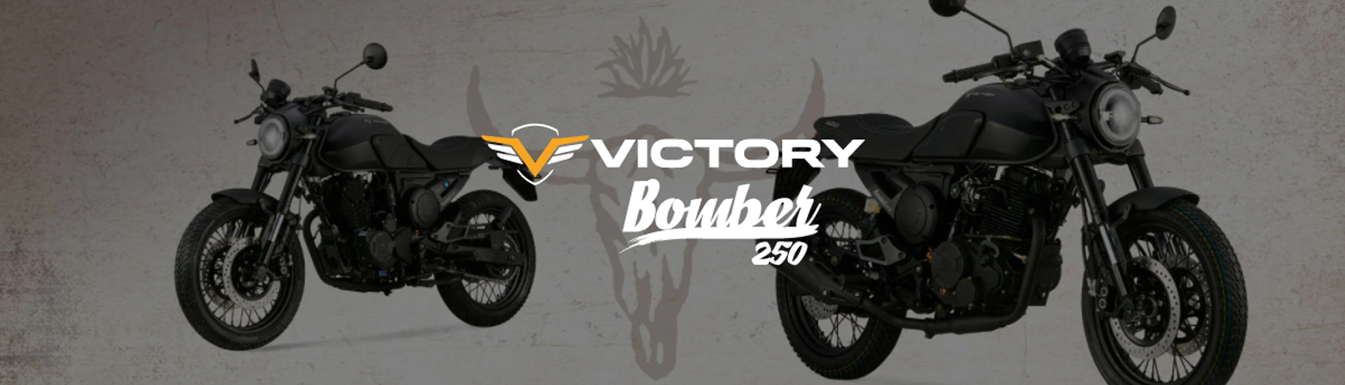 BANER-MOTOS-BOMBER-250