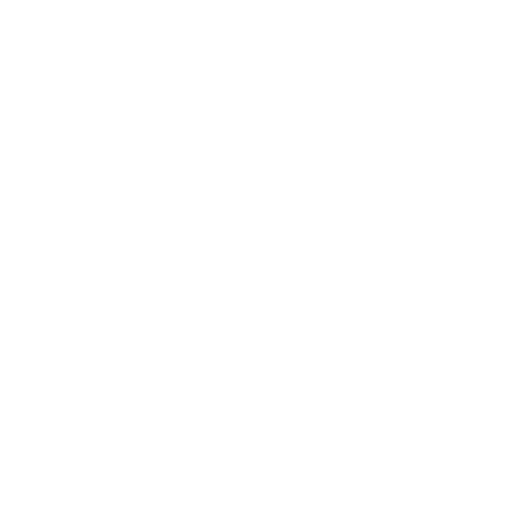 Kawasaki-Ninja