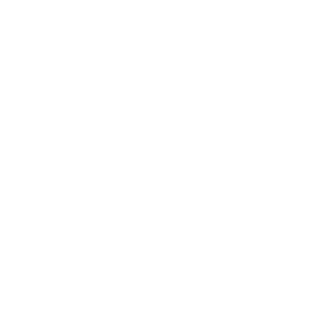 Kawasaki-Z